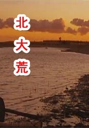 日韩深夜福利